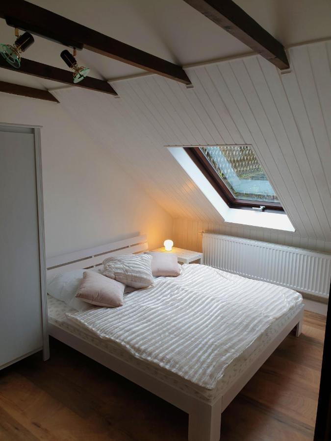 Saechsische-Schweiz-Ferienhaus-Wohnung-1-Mit-Elbblick-Sauna-Und-Kamin 柯尼希施泰因易北 外观 照片